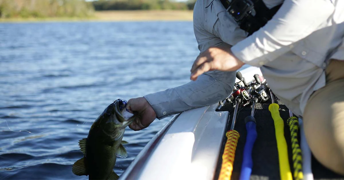 Bass Fishing