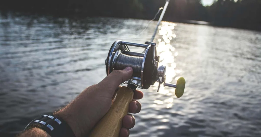 Best-Bait-for-Striped-Bass-2025