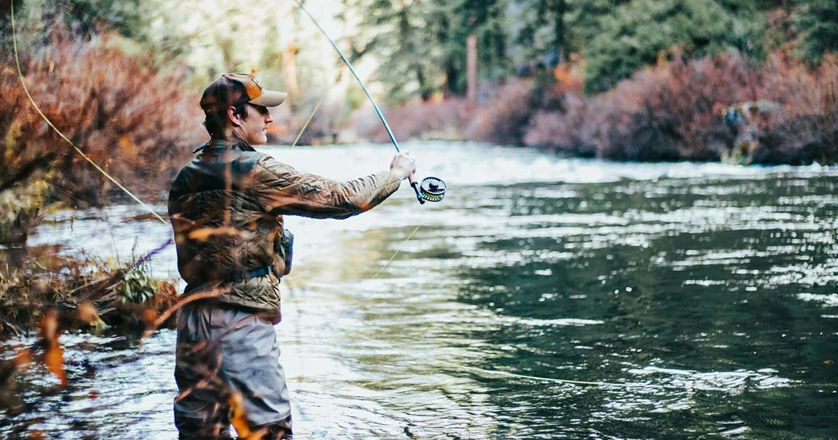 Best-Bait-for-Striped-Bass