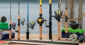 Fishing Rod